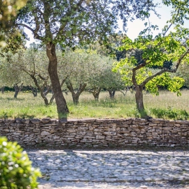 Mémoires de garrigue au Pont du Gard